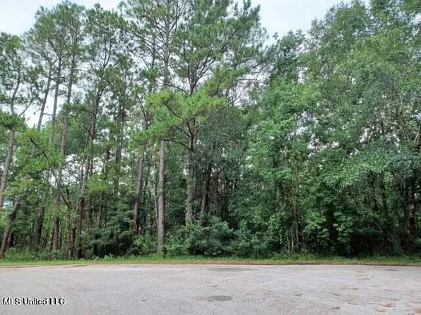 LOT 17 Honduras Dr Lot 17, Gautier, MS 39553