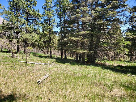 5th image of 0 Spanish Peaks Dr W #46-47