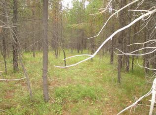 4001 Buck Run, Island Park, ID 83429