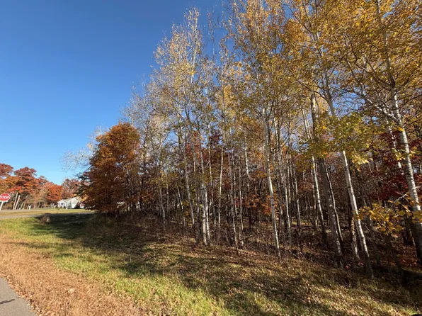 L1-B3 Paper Birch Dr, Baxter, MN 56425