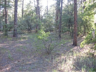 1885 Timber Point, Prescott, AZ, 86303