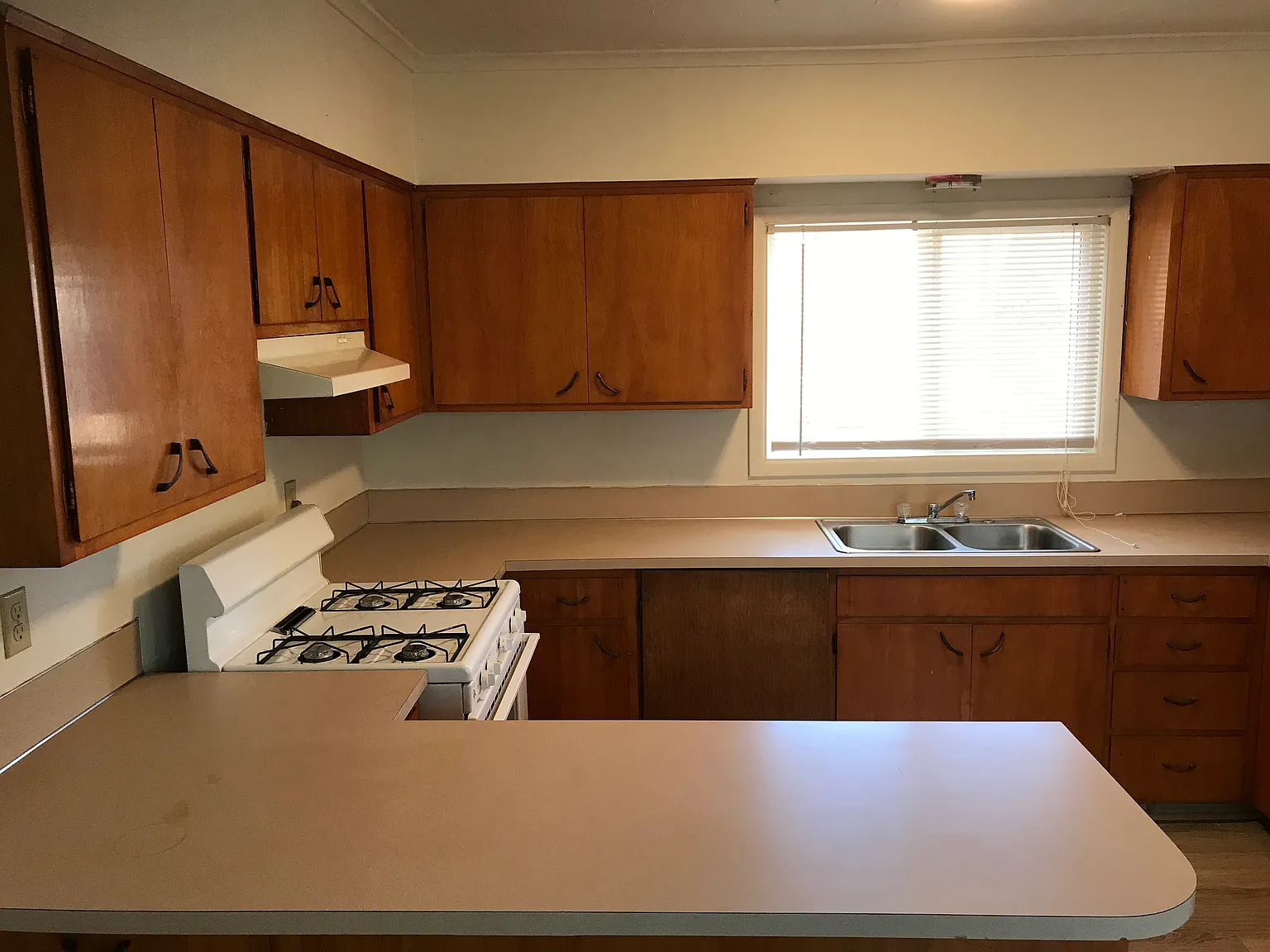 2 bed, $950 — Photo 3