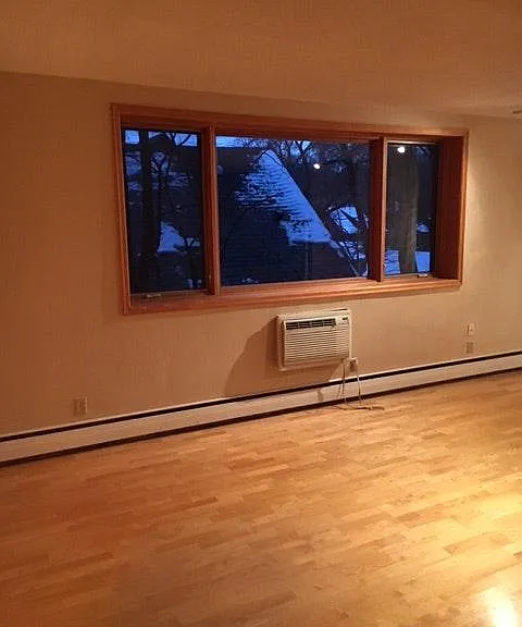 4430 W Lake Harriet Pkwy #303 — Photo 3