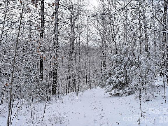 5th image of 0 Pinnacle Mountain Rd #3-4