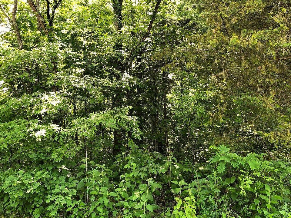 1st image of 101 Cayuga Dr Lot 1