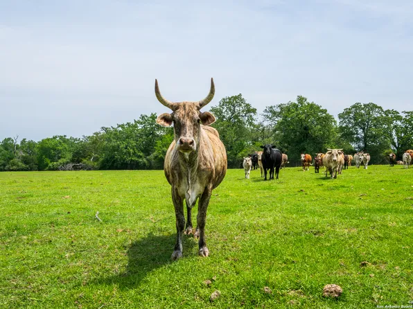 3671 county road 455, Thorndale, TX 76577