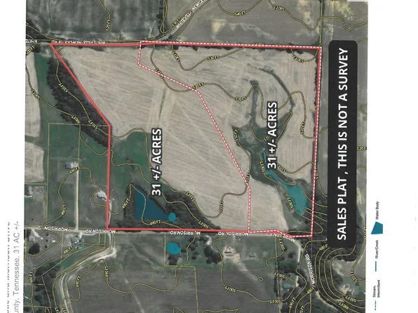 Whiteville New Castle Rd Lot 2, Whiteville, TN 38075