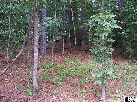 3rd image of 128 White Fawn Cir