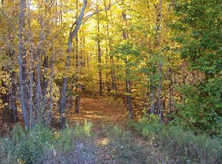 33 M, Afton, MI 49705