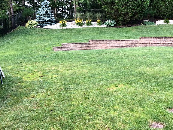 5th image of 1202 Wilkinson Dr