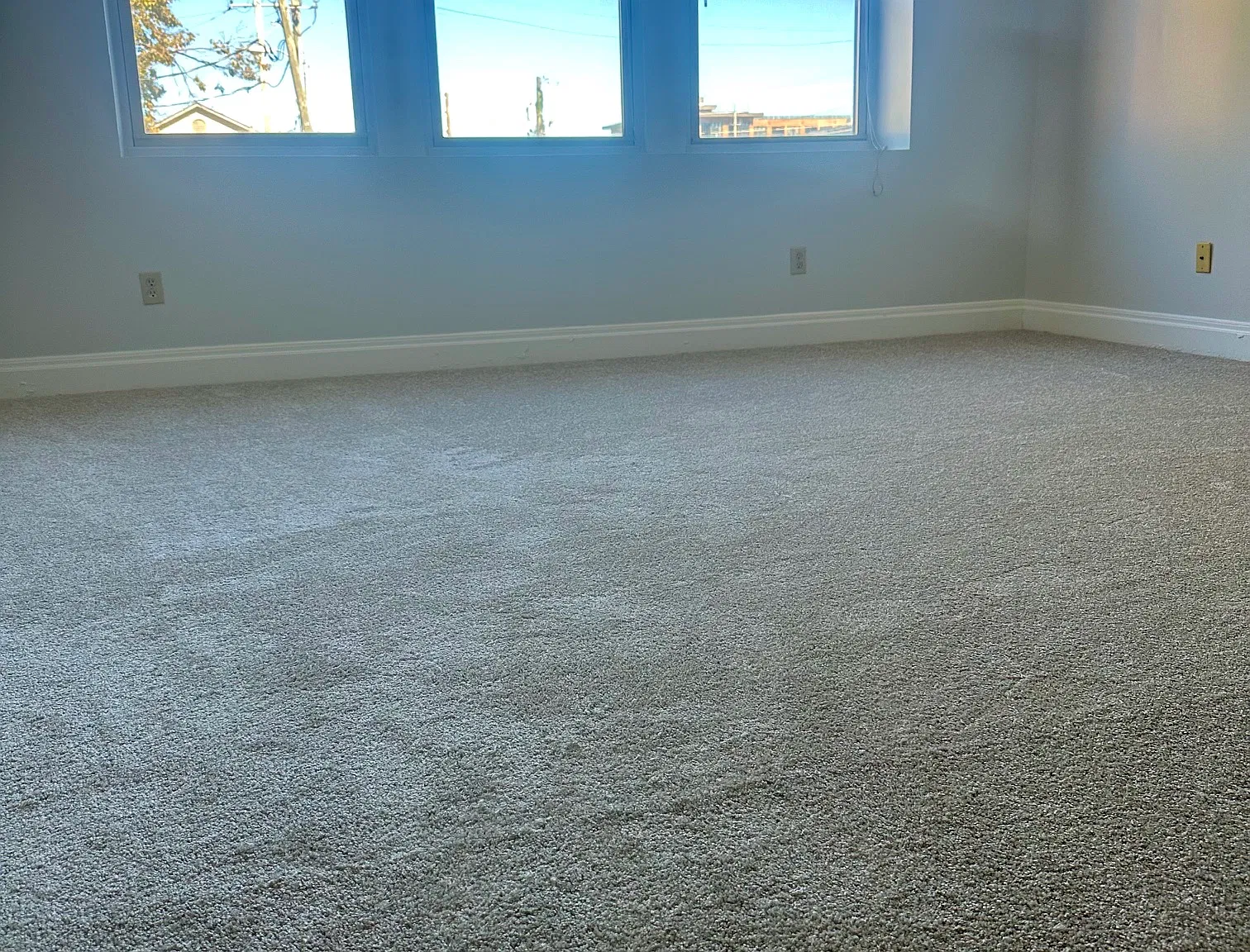 2 bed, 1.5 bath, 916 sqft, $1,850 — Photo 3