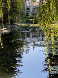 700 E Lake Dr UNIT 4, Orange, CA, 92866
