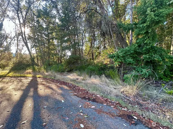 9102 Johnson Road, Anderson Island, WA 98303