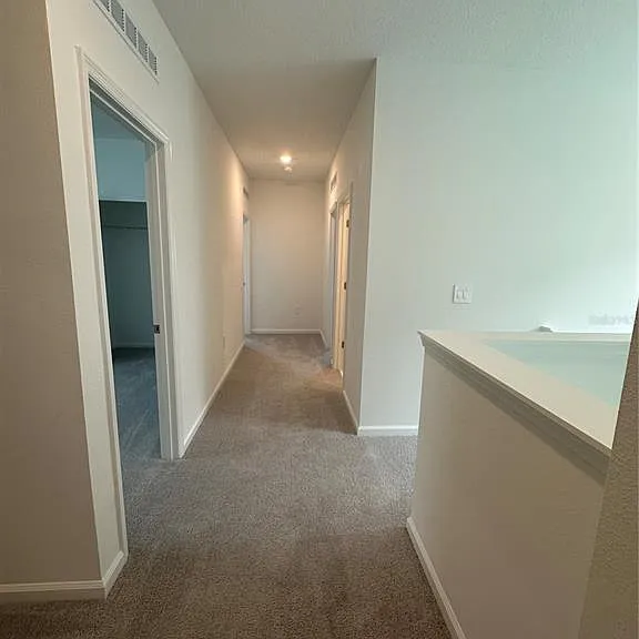 2981 Good Vibes Way — Photo 35