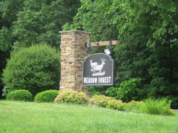 131 Mystic Valley Dr, Pacific, MO 63069
