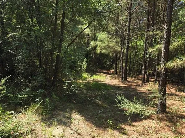 Weinberger Rd, Ponchatoula, LA 70454
