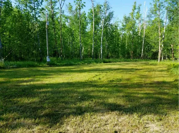 6708 70th Ave NW, Williams, MN 56686