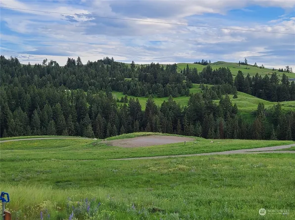 373 Mary Ann Creek Road #1, Oroville, WA 98844