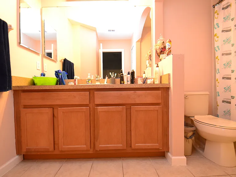 3841 White Birch Run — Photo 15