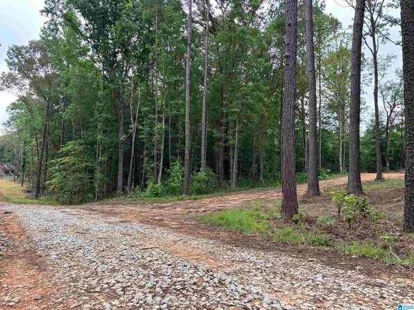 TRACT One 343 County Rd #892, Wedowee, AL 36278