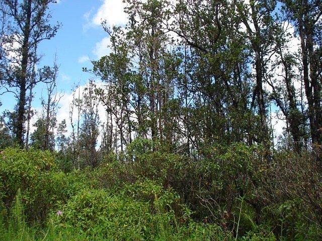 2nd image of Plumeria Dr Lot 51