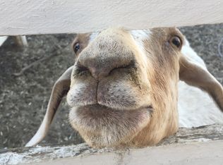 15028 Beatties Ford Rd, Huntersville, NC 28078