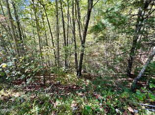 6 Acres Creek Hollow Way, Sevierville, TN 37876