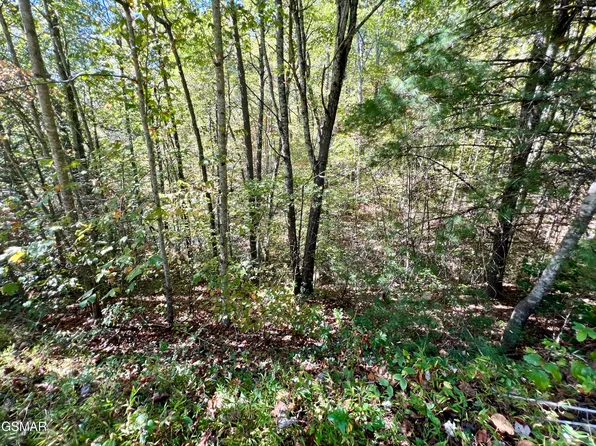 6 Acres Creek Hollow Way, Sevierville, TN 37876