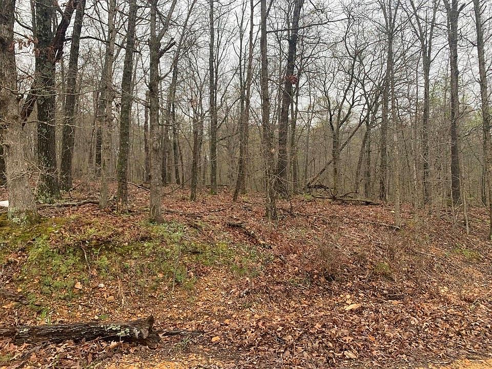 1st image of Burlton Ln