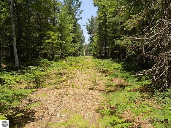 2nd image of Xxx Old Pine Trl
