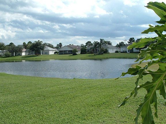 Lake view