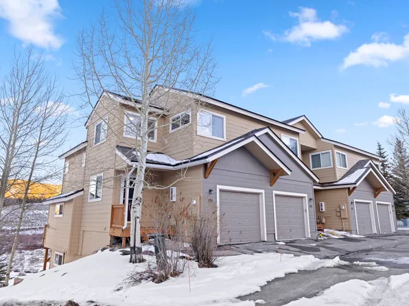 596 Meadow Wood Cir, Dillon, CO 80435