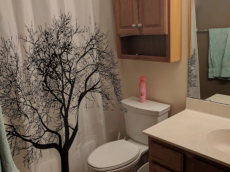 Upstairs Bathroom
