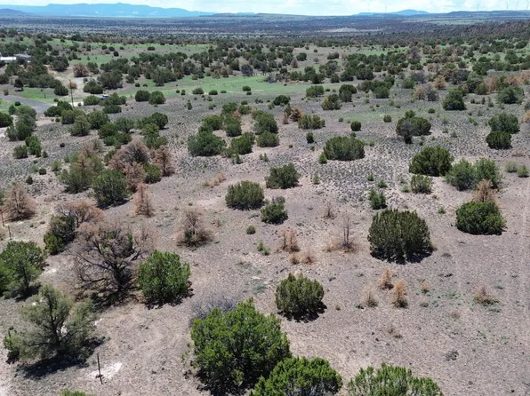 LOT 13 Cimarron Dr, Quemado, NM 87829