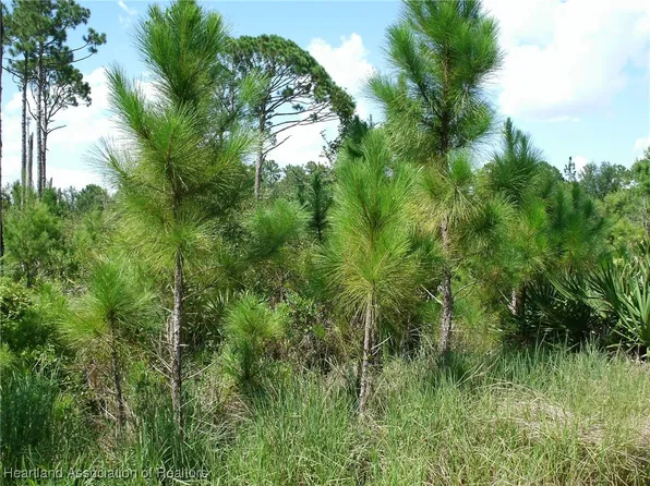 716 Parakeet Ave, Sebring, FL 33872