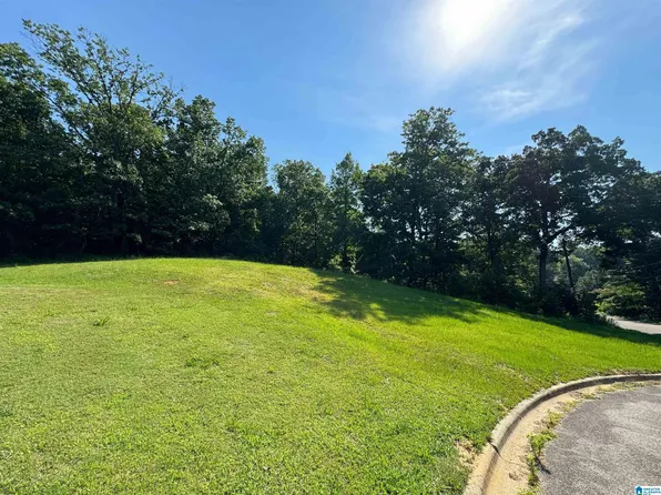 7437 Mountain Laurel Dr #0, Pinson, AL 35126