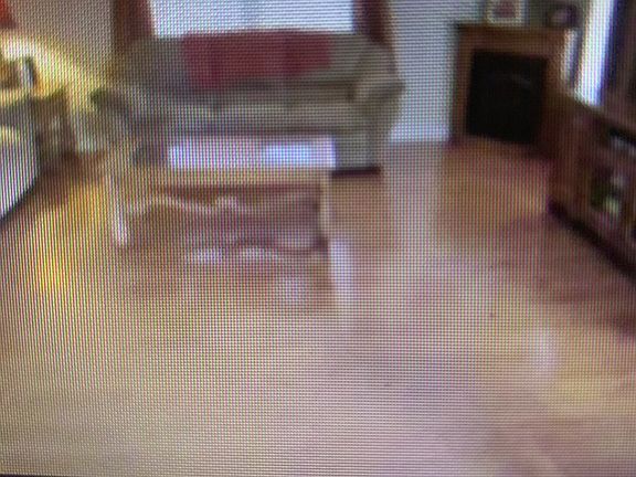 5th image of 1223 S Lake Dr