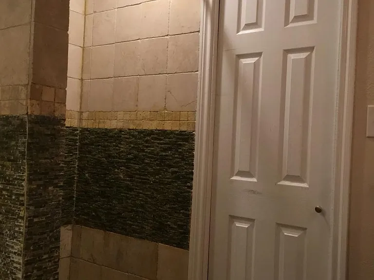Master Bath Shower