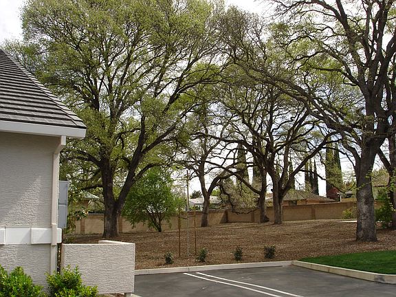 3rd image of 696 Shasta Oaks Cir