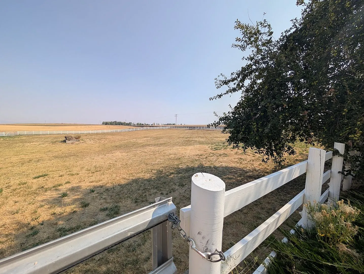 Picturesque Waha Farm House with 2 Horse Pastures — Photo 3