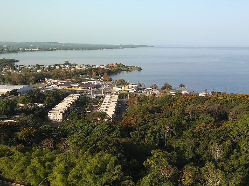 View from Apartment Balcony