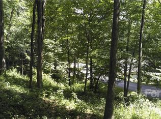 194 Blue Ridge Dr N #194, Marion, NC 28752