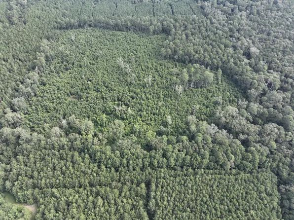 0 Sonny""s Rd, Oberlin, LA 70655