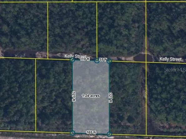 Pid 21 10 28 2775 40 157 No St, Hastings, FL 32145