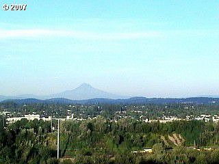 Hood View