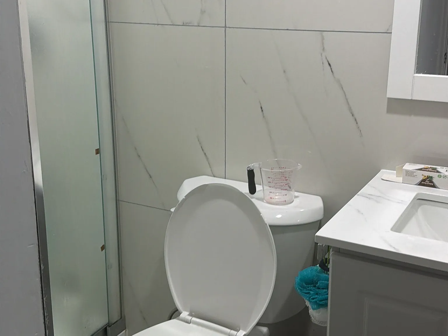 1 bed, $1,250 — Photo 4