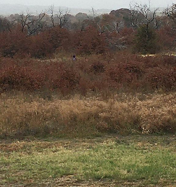 1st image of 10307 County Road 230