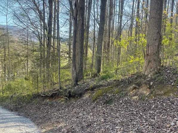 0 Elderberry Dr, Whitesburg, KY 41858