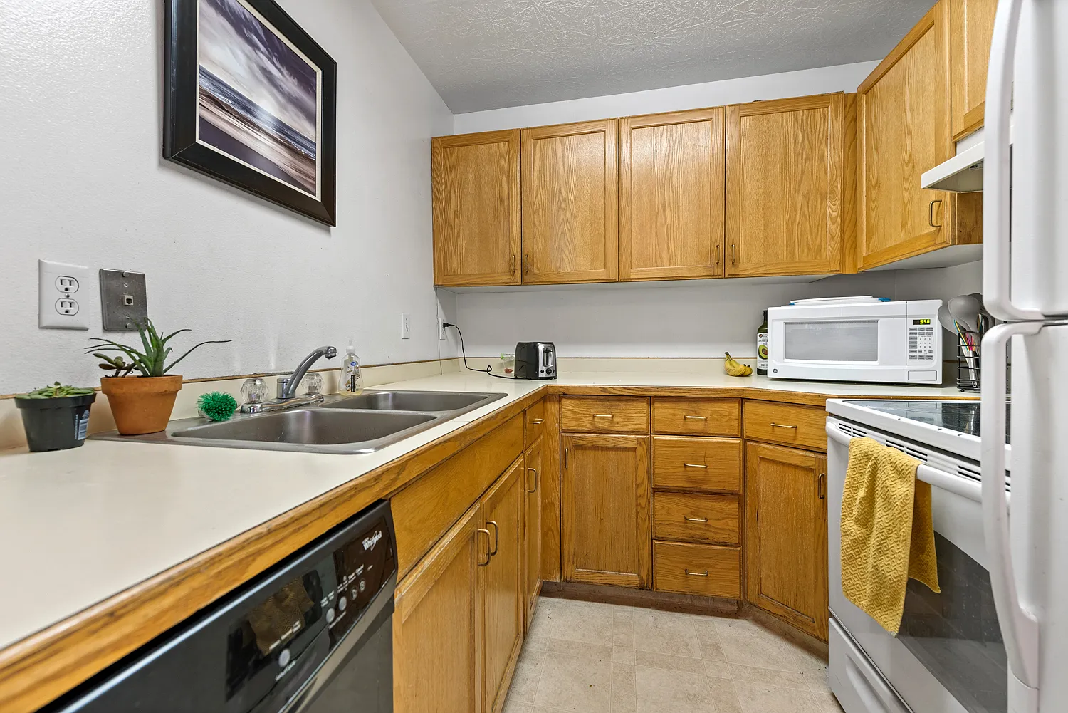 2 bed, 800 sqft, $419 — Photo 3