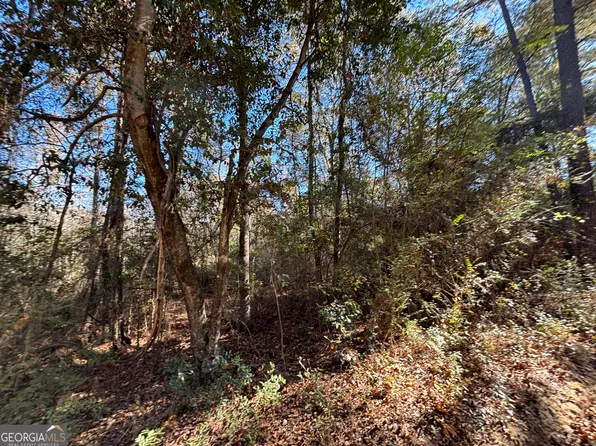 PARCEL Julian Simpson Rd, Cochran, GA 31014